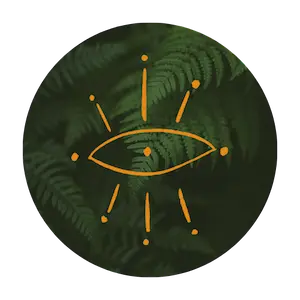 Ein orangefarbenes Auge mit Strahlen, eingebettet in einem grünen Kreis - ein Symbol für schamanische Zeremonien.